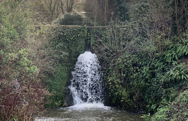 Little Norton Mill - Foto 13