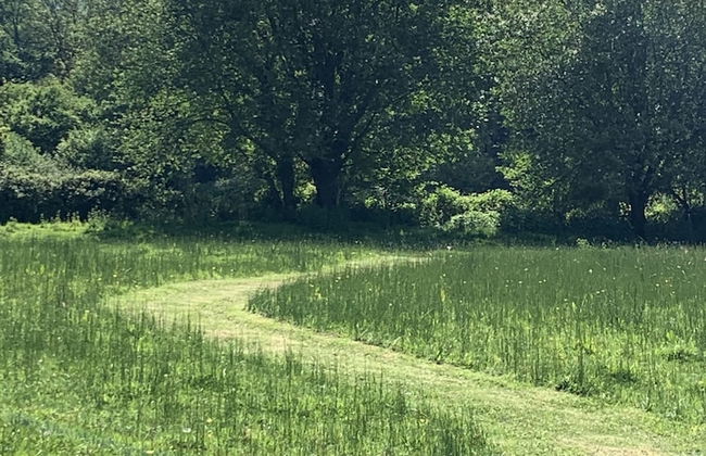 Little Norton Mill - Foto 16