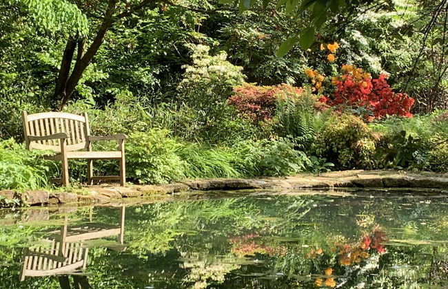 Little Norton Mill - Foto 19