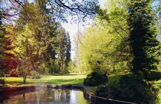 Country House in Czech Forest With Pool - Foto 31