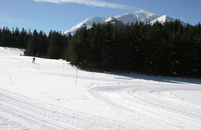 Chalet Hohentauern by Ski Lift - Foto 29