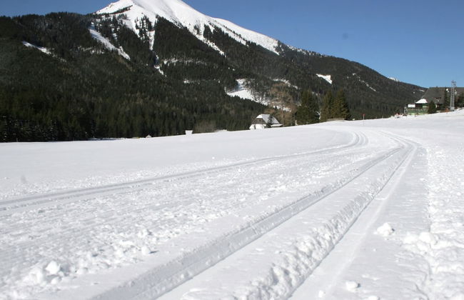 Chalet Hohentauern by Ski Lift - Foto 30