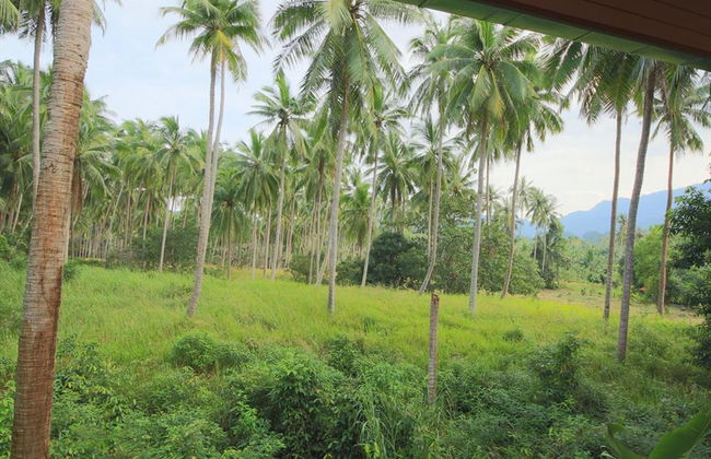 Tropical Season Villa Resort - Foto 16
