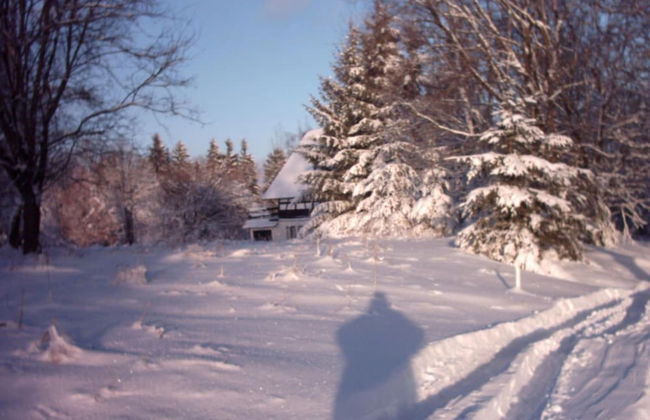 Chalet in Ore Mountains Near Ski Slopes - Foto 23