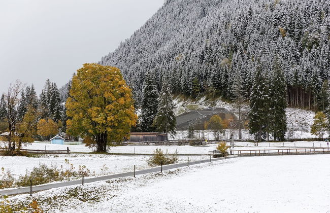Chalet in Saalbach Near Ski Lift - Foto 27
