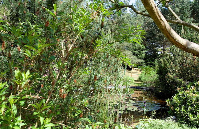 Sleep Under a Thatched Roof - Apartment in Ahlbeck near Haff - Foto 22