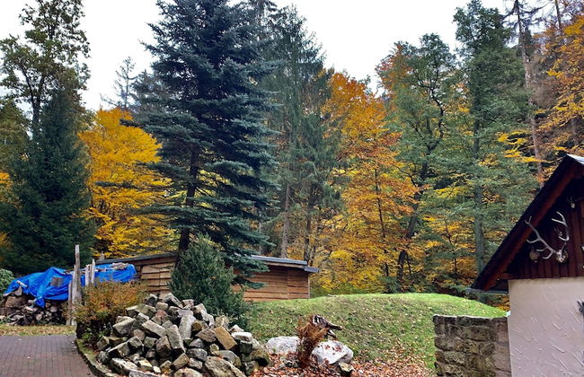 Ferienhaus Oppach - Foto 71