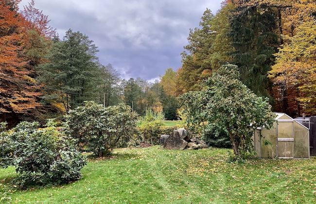 Ferienhaus Oppach - Foto 64