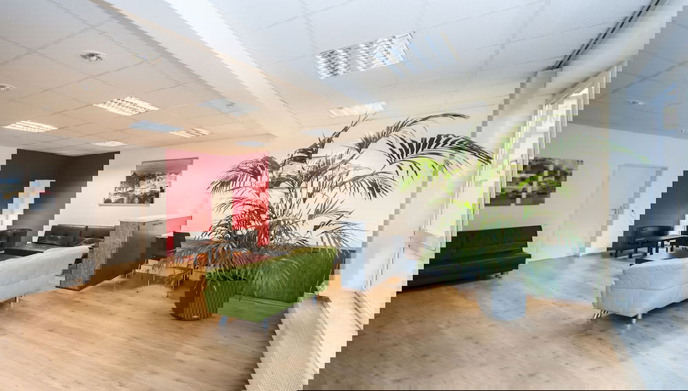 Primary image