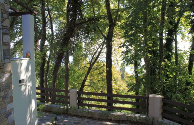 Gems of Zagora - Photo 43