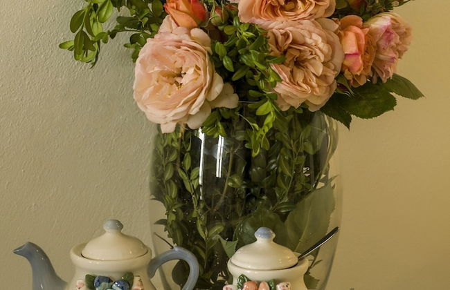 Gems of Zagora - Photo 33