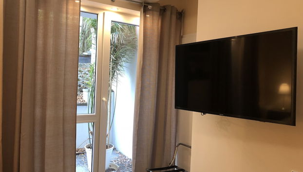 Televisão