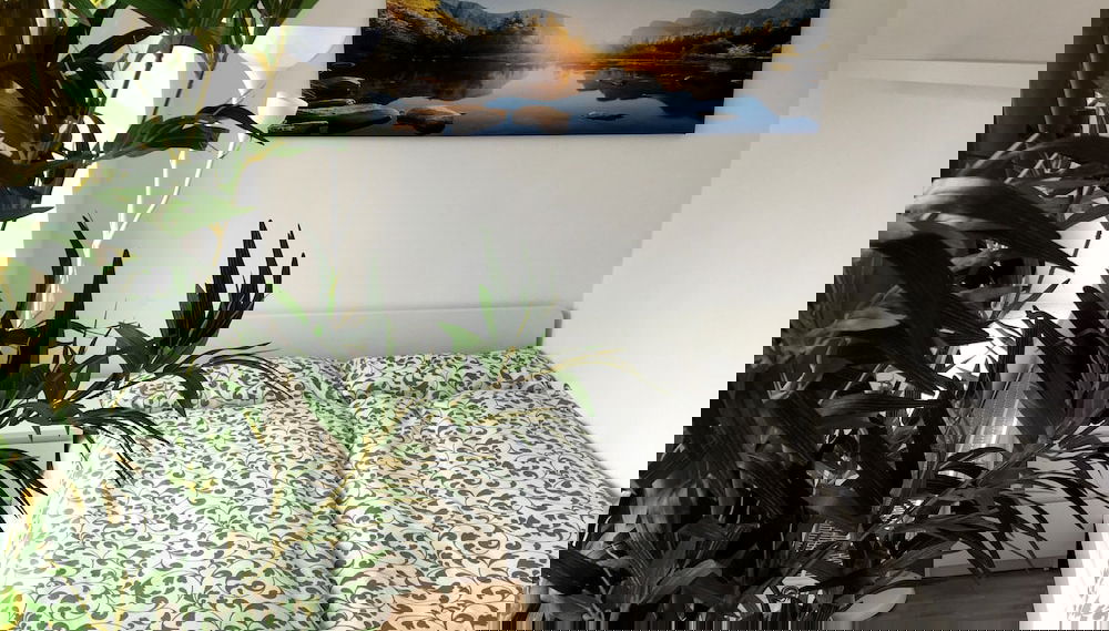 Imagem principal