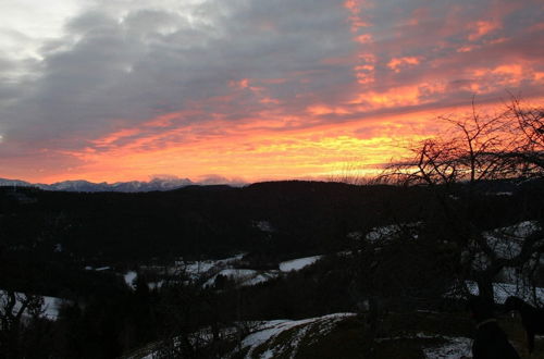 Photo 19 - Apartment in Liebenfels in Carinthia Near ski Area