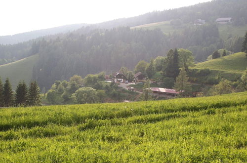 Photo 17 - Apartment in Liebenfels in Carinthia Near ski Area