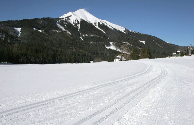 Chalet in Hohentauern Near Ski Lift - Foto 30