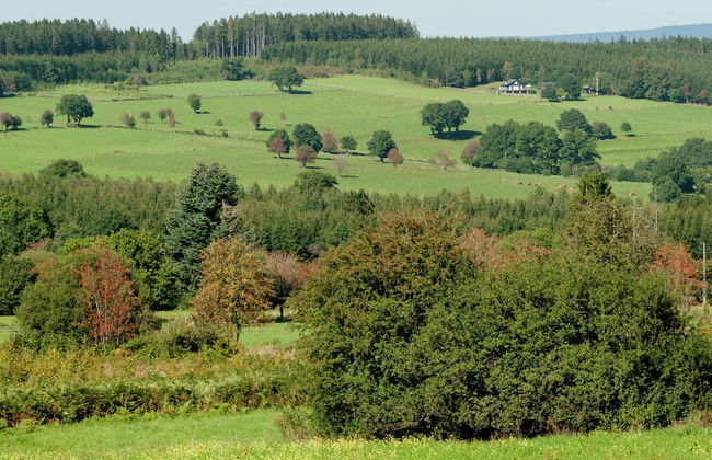 Farmhouse Situated at the Edge of the Woods - Foto 33