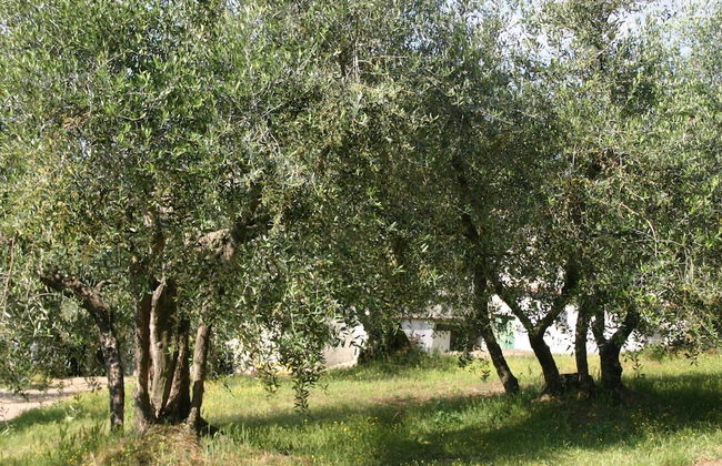 Tuscany Bliss: Garden Retreat - Foto 18