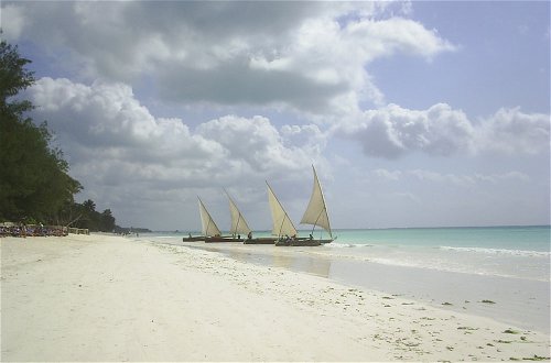 Photo 54 - Kamili View Apartment in Zanzibar