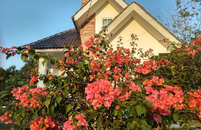 Tehel Farmhouse - Photo 35