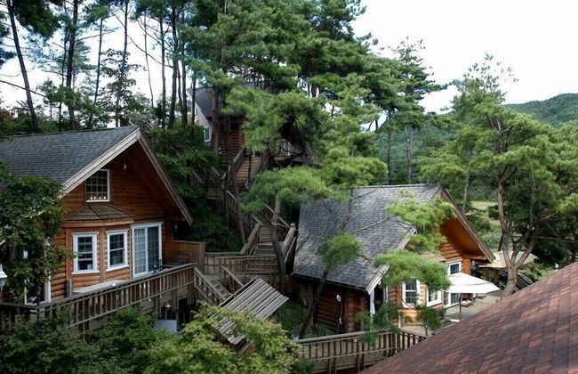 Cabin Town Pension - Photo 42