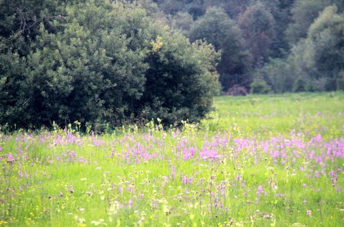 Photo 67 - Agroturystyka Nienasycenie