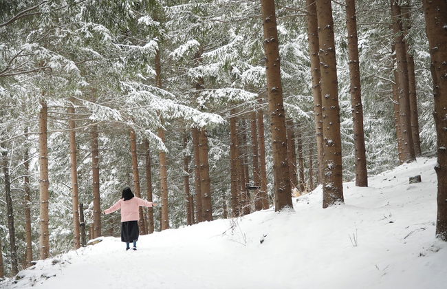 Mona Yongpyong Tower Condominium - Photo 57