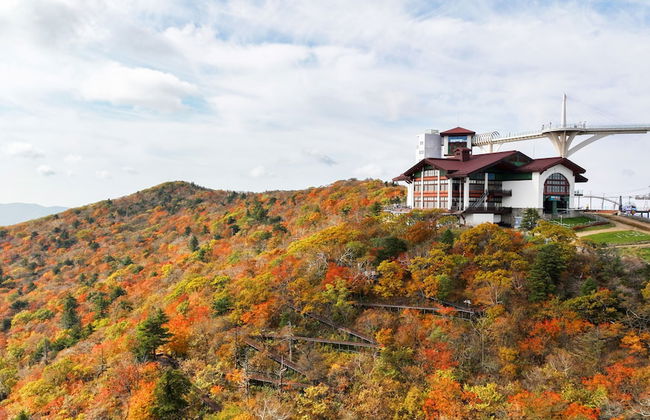 Mona Yongpyong Tower Condominium - Photo 59