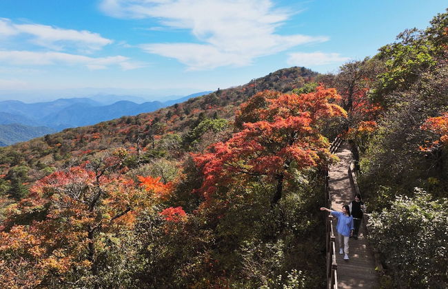 Mona Yongpyong Tower Condominium - Photo 62