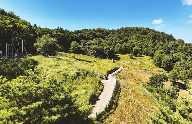 Mona Yongpyong Tower Condominium - Photo 52