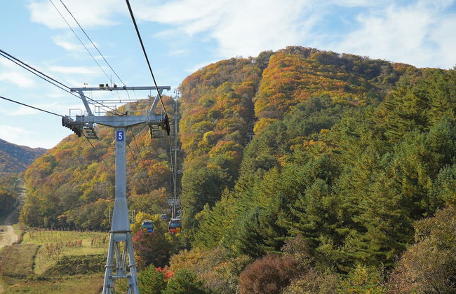 Mona Yongpyong Tower Condominium - Photo 66