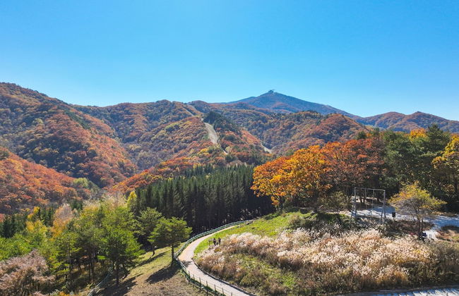 Mona Yongpyong Tower Condominium - Photo 56