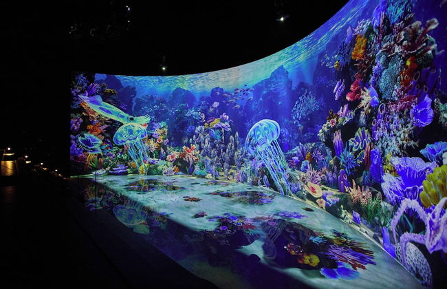 Mona Yongpyong Tower Condominium - Photo 76