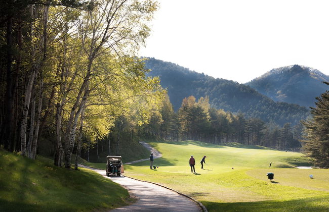 Mona Yongpyong Tower Condominium - Photo 40