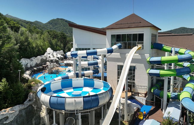 Mona Yongpyong Tower Condominium - Photo 33