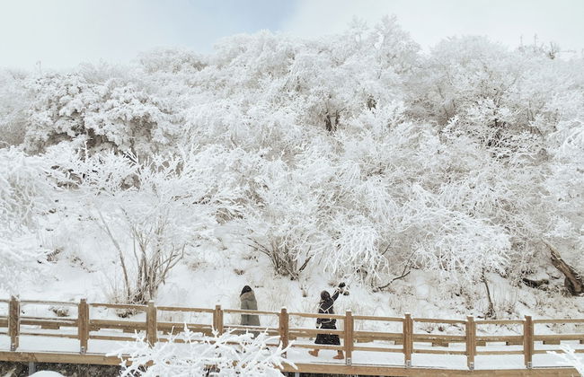 Mona Yongpyong Tower Condominium - Photo 60