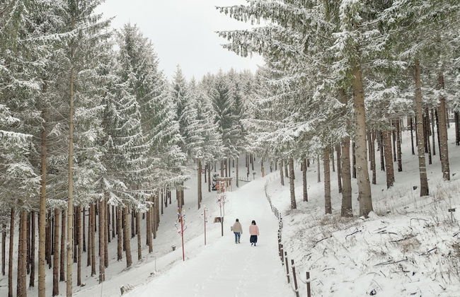 Mona Yongpyong Tower Condominium - Photo 54