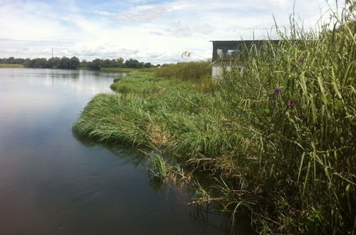 Photo 32 - Delta Belle Boathouse