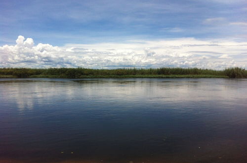 Photo 28 - Delta Belle Boathouse