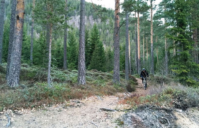 Nisser Hyttegrend Og Camping - Photo 66