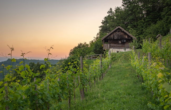 Vineyard Cottage Škatlar 1 - Foto 21