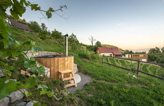 Photo 1 - Vineyard Cottage Škatlar 1