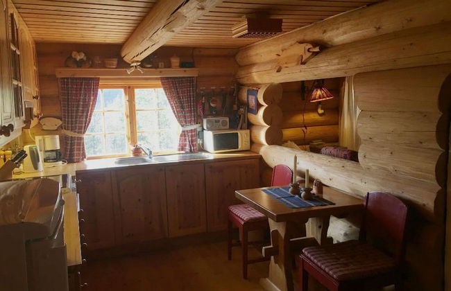 Heibu Cabin - Skåbu - Foto 8
