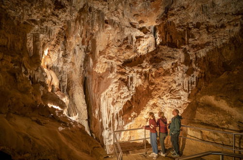 Photo 27 - Wombeyan Caves