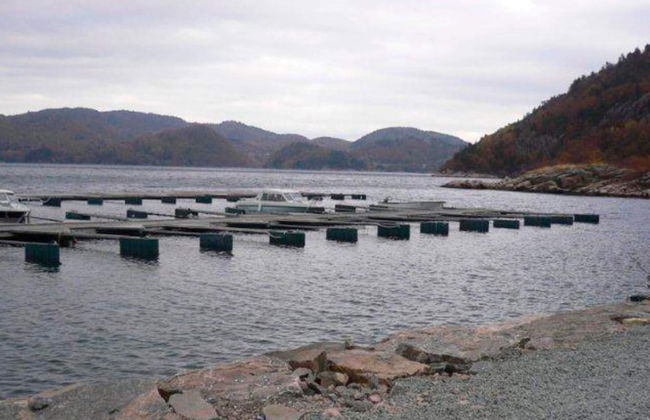 10 Person Holiday Home in Lindesnes-by Traum - Foto 14