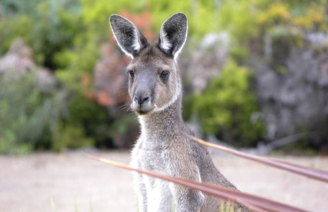 Marima Cottages - Foto 26