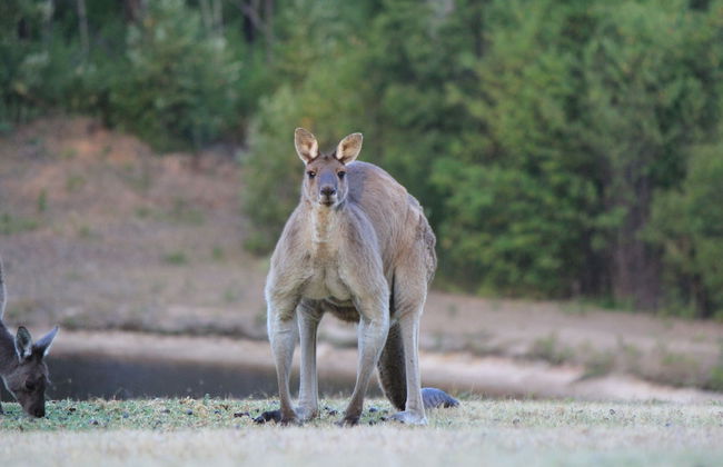 Marima Cottages - Foto 27