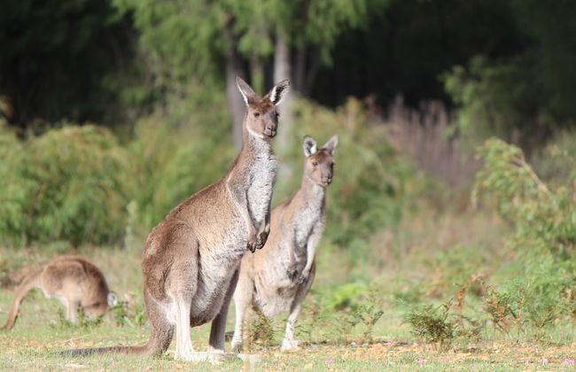 Marima Cottages - Foto 20