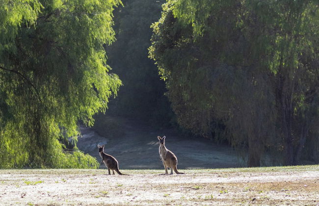 Marima Cottages - Foto 25