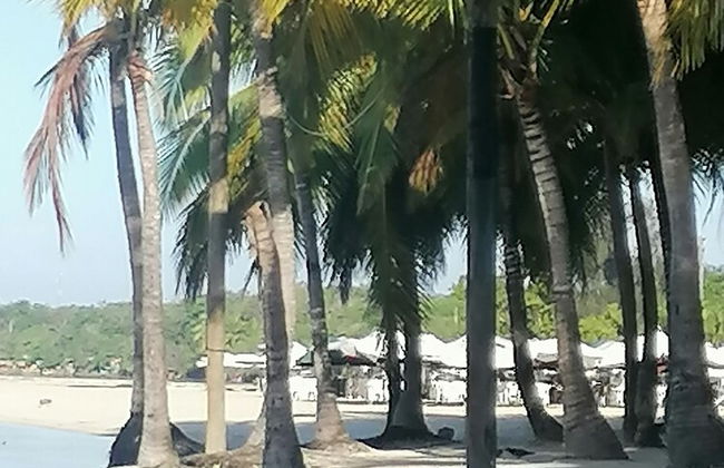 Room in Guest Room - Apartment Monocal in Boca Chica - Foto 13